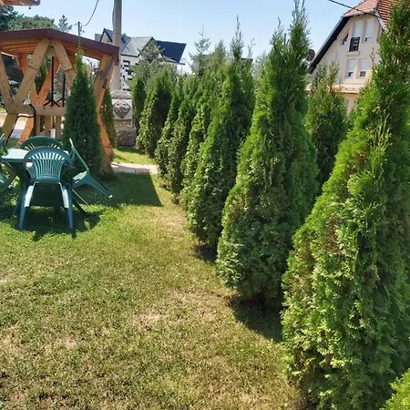 Jelena 4* Divčibare